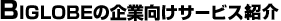 BIGLOBEの企業向けサービス紹介